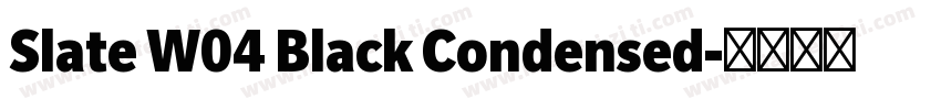 Slate W04 Black Condensed字体转换